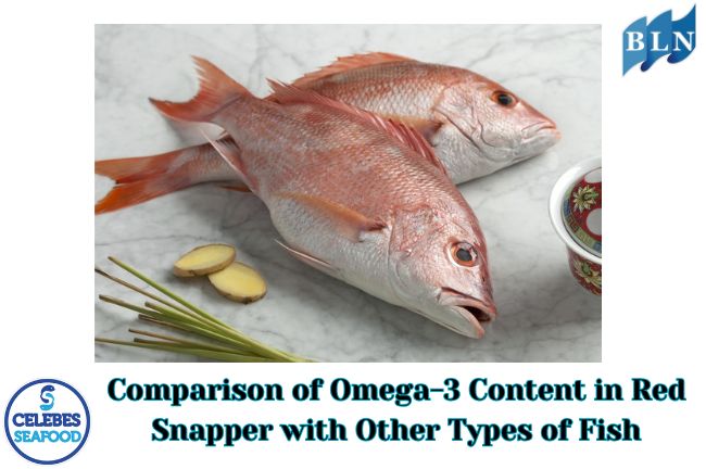 Comparison of Omega-3 Content in Red Snapper with Other Types of Fish